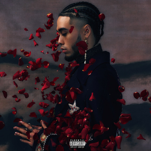 美国女人和黑人女人交配的视频
